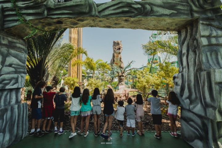 Em Campinas | T-Rex Reforça Lado Educativo Com Paleantólogo Oficinas e Visitas Guiadas